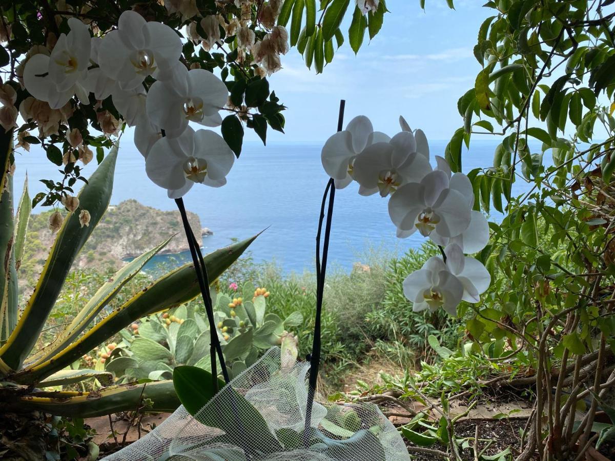 Villa Don Mimi Guarnaschelli La Dependace Taormina Buitenkant foto
